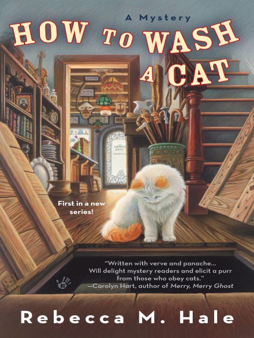 Title details for How to Wash a Cat by Rebecca M. Hale - Wait list